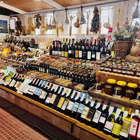 펜션 Casa Flora - Vale Da Telha - Nature - Surf & Sun *