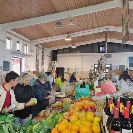 Casa Flora - Vale Da Telha - Nature - Surf & Sun Holiday home