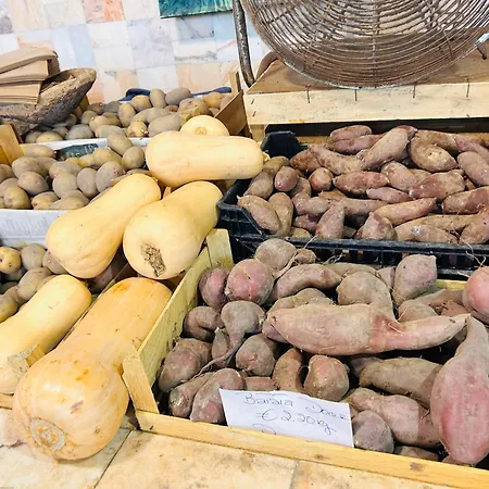 펜션 Casa Flora - Vale Da Telha - Nature - Surf & Sun