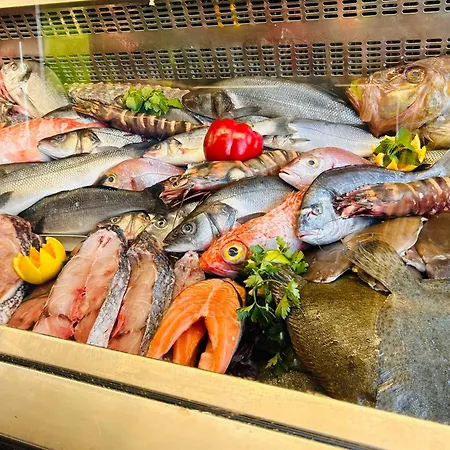 Casa Flora - Vale Da Telha - Nature - Surf & Sun Σπίτι διακοπών