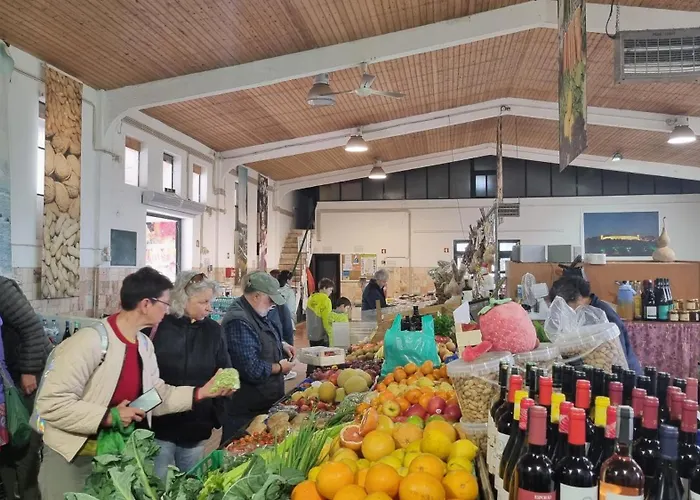 Casa Flora - Vale Da Telha - Nature - Surf & Sun Dom wakacyjny