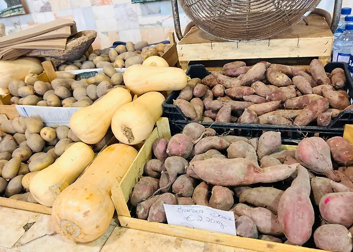 Dom wakacyjny Casa Flora - Vale Da Telha - Nature - Surf & Sun